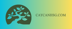 caycanhsg.com